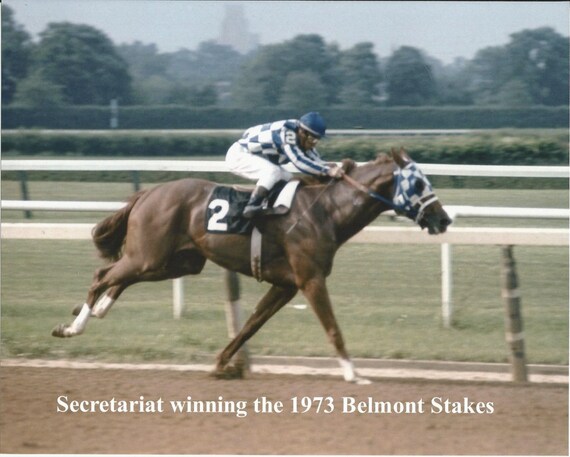 Secretariat Belmont Chart