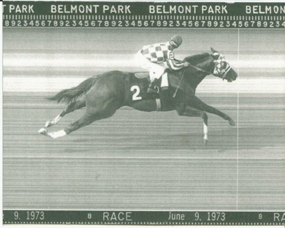 SECRETARIAT Belmont Stakes Finish Line Camera Photo on June 9th