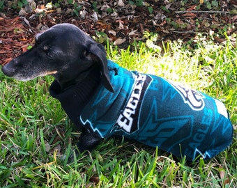 eagles dog sweater