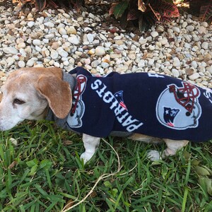 patriots dog jacket