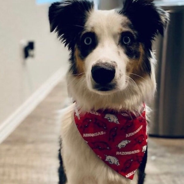 Arkansas Razorbacks Over Collar Dog Bandana, University of Arkansas Pet Scarf, Reversible