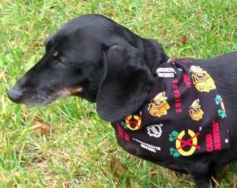 blackhawks dog jersey