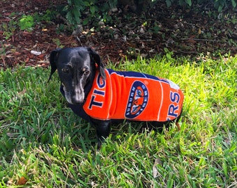 auburn dog sweater