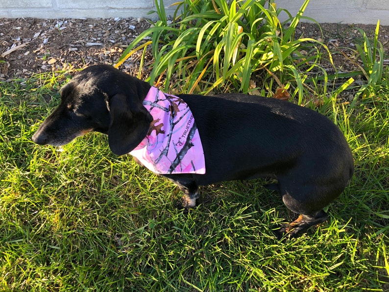 Pink Camo Over Collar Dog Bandana Camouflage Pet Scarf Reversible