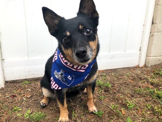 Ny giants dog bandana sale