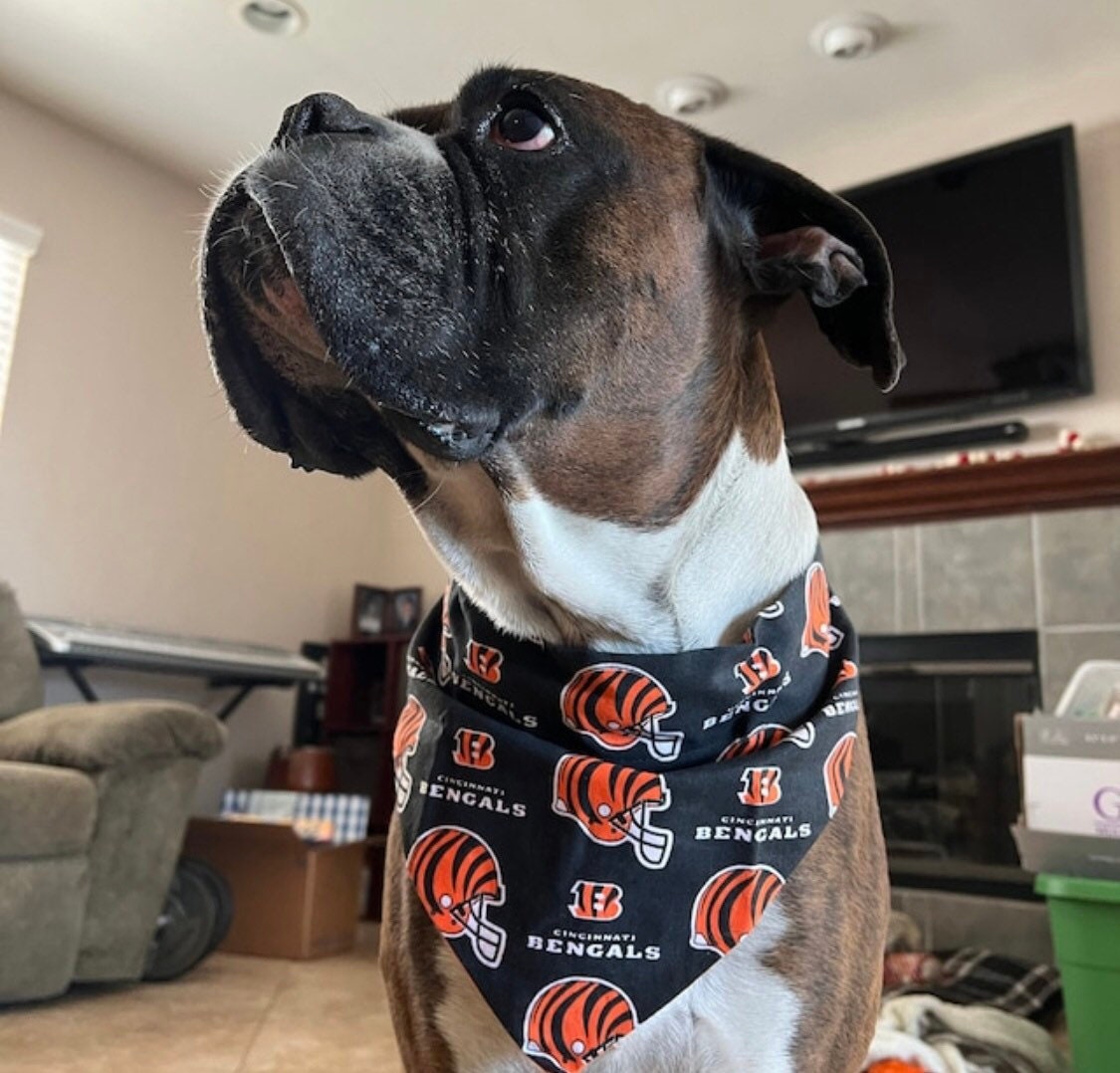bengals dog gear