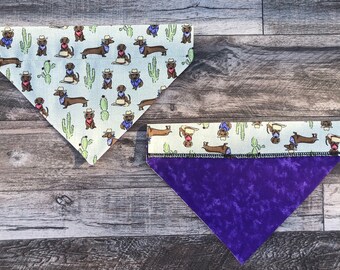 Cactus Doxies Over Collar Bandana, Dachshund Reversible Pet Scarf