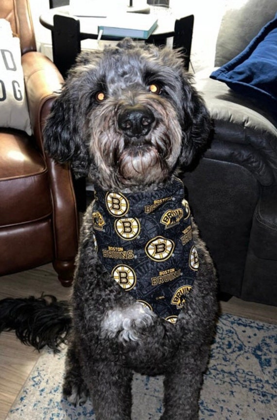 Boston Bruins NHL Dog Sweater