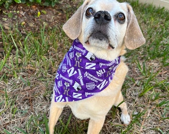 Northwestern Wildcats Over Collar Dog Bandana, NU Pet Scarf, Reversible