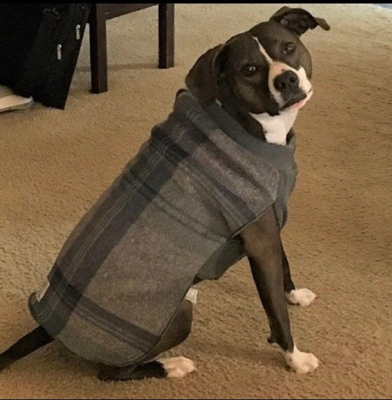 Blue and Green Plaid Fleece Dog Coat Stretchy Dog Sweater Etsy