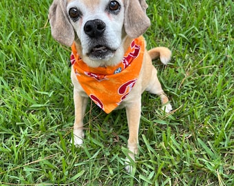 Retro Tampa Bay Buccaneers Over Collar Dog Bandana, NFL Pet Scarf, Reversible