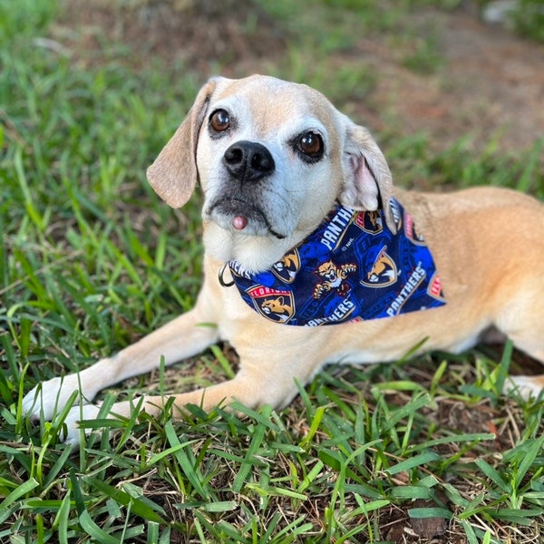 FL Panthers – PARTY ANIMAL BANDANAS