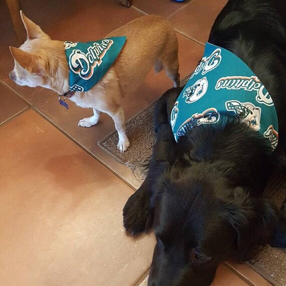 miami dolphins dog bandana