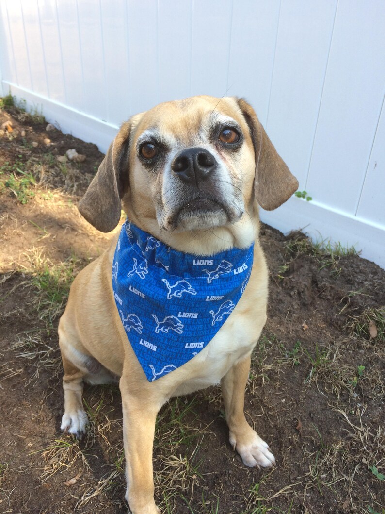 miami dolphins dog bandana