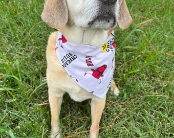 Chicago Bulls Over Collar Dog Bandana, NFL Pet Scarf, Reversible