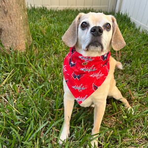 Capitals dog bandana discount