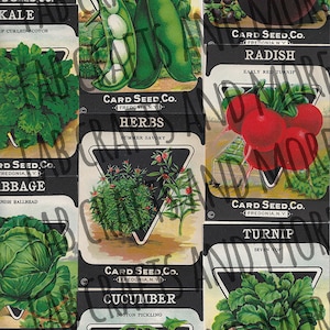 Kit di set di pacchetti di semi di verdure effimere vintage per diari spazzatura e tecniche miste ATC