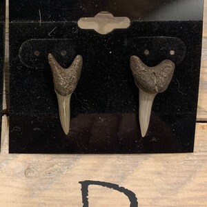 Shark Tooth Stud Earrings Stainless Steel image 3