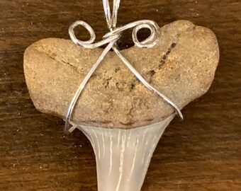 Shark Tooth Pendant Sterling Silver