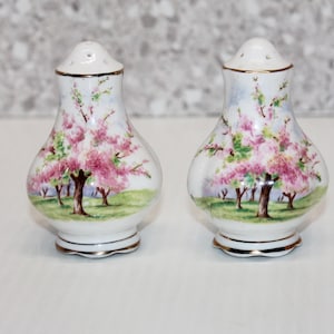 Vintage Royal Albert Salt & Pepper Shakers, Blossom Time Pattern, Pink Blossom Trees