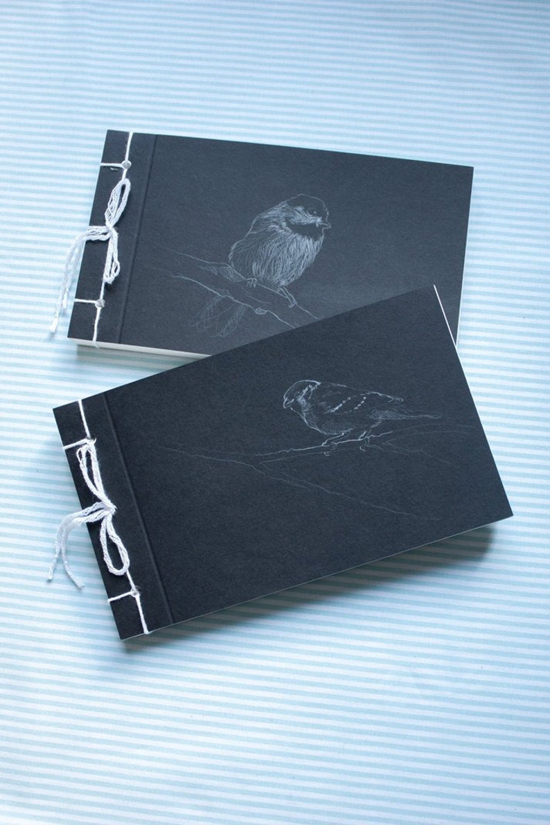 sparrow and coal tit sketchbook