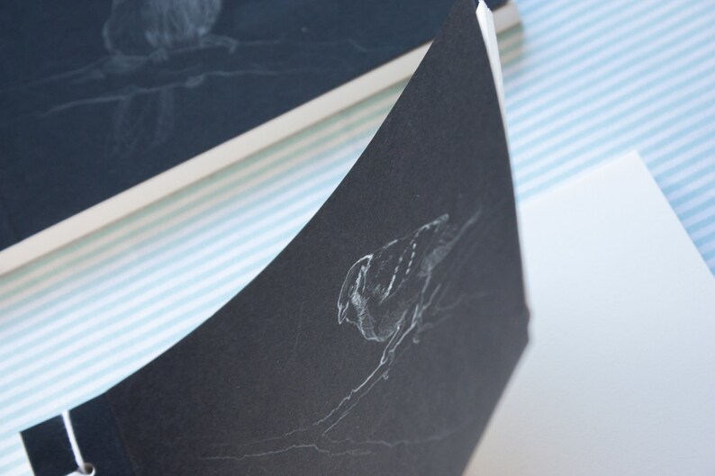 sparrow and coal tit sketchbook