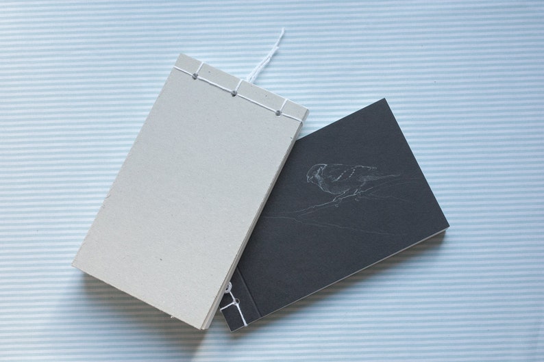 sparrow and coal tit sketchbook
