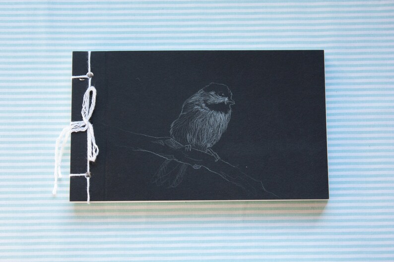 sparrow and coal tit sketchbook