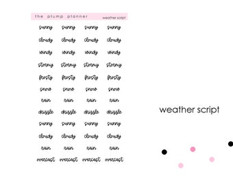 Weather Scripts - 48 stickers perfect for any planner!