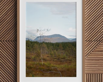 XL print: Norway trip, hike to Troll Church III