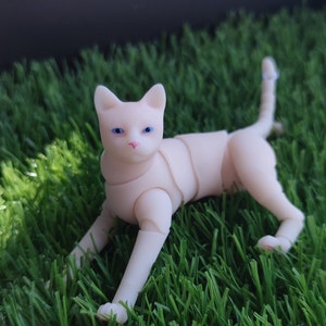 BJD beige cat pet with blue eyes makeup for doll