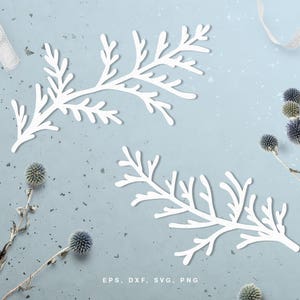 File di taglio digitale del ramo di pino (svg, dxf, png, eps) per Silhouette Cameo, Cricut, paper crafting, progetti di scrapbooking, creazione di schede, stencil