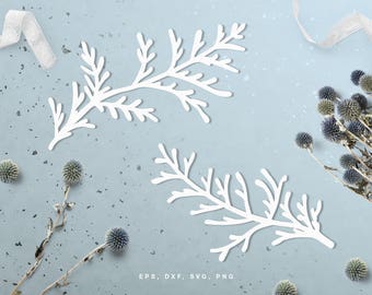 Pine branch digital cut file (svg, dxf, png, eps) for Silhouette Cameo, Cricut, paper crafting, scrapbooking projects, card making, stencils