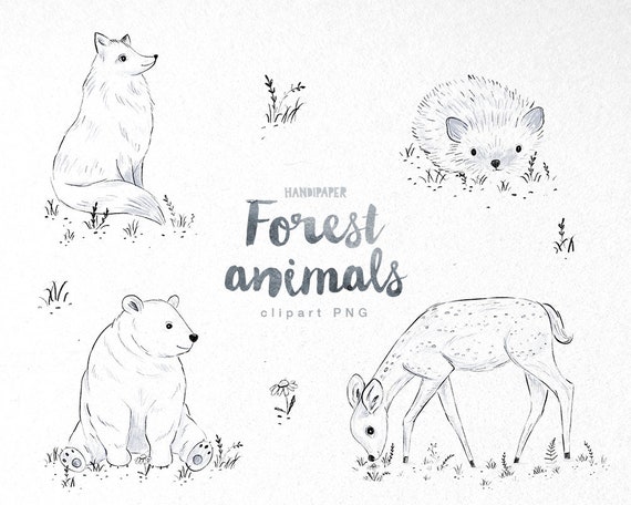 Forest Animals CLIPART PNG Printable Download Digital - Etsy Forest Animals CLIPART PNG Printable Download Digital - Etsy