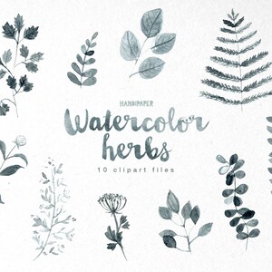 Gráfico de clipart de plantas de ervas em aquarela PNG, download para impressão pintado à mão, scrapbooking digital, confecção de cartões, floral, clipart de plantas