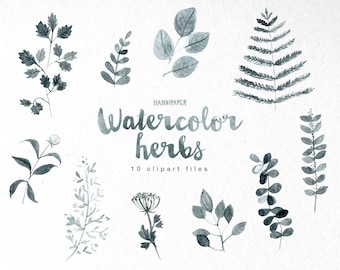 Watercolor Herbal Plants Clipart graphic PNG, Hand Painted Printable Download, Digital scrapbooking, Card making, Floral, Plant clip art