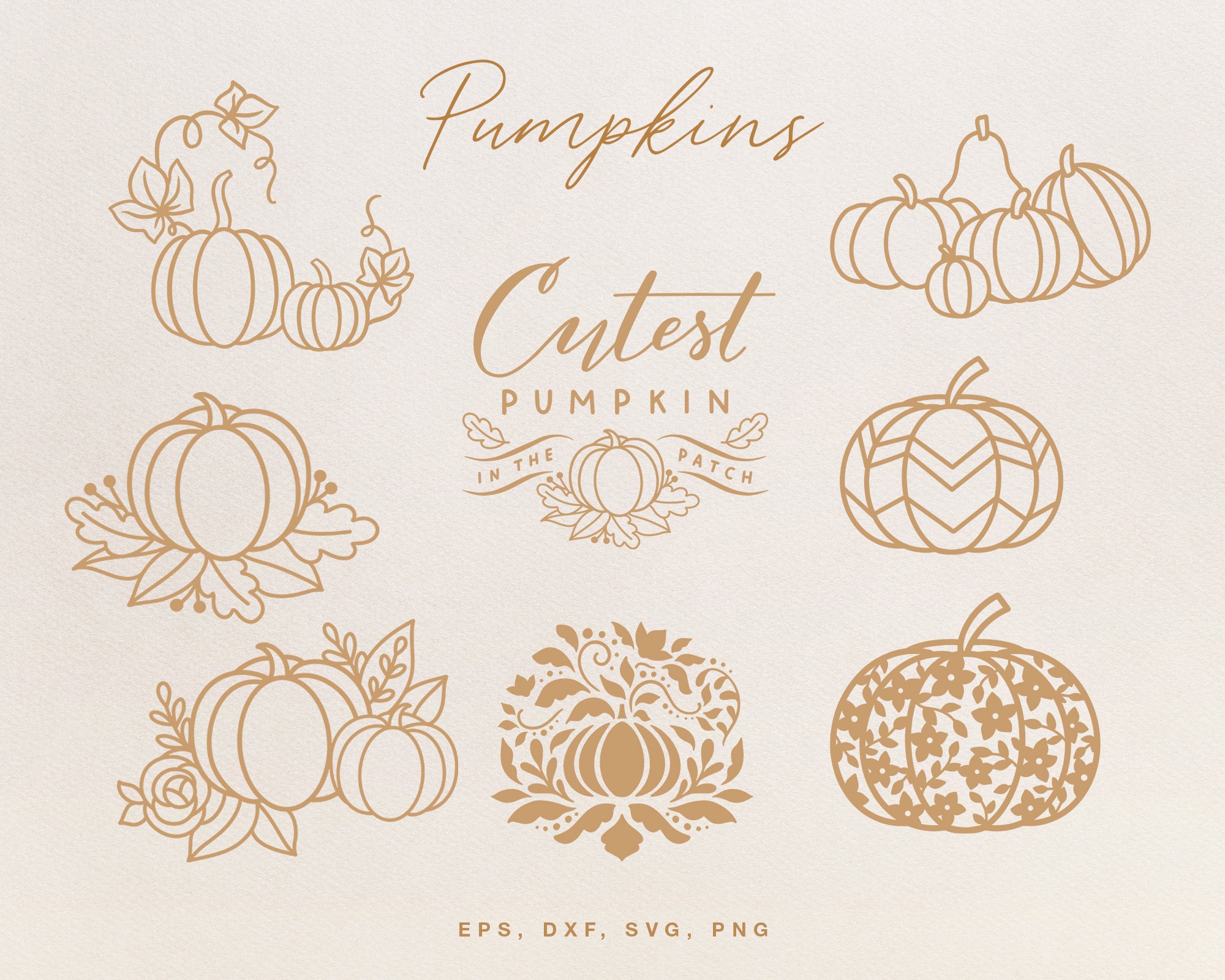 Fall SVG Bundle cut files for Silhouette Cameo Cricut eps | Etsy