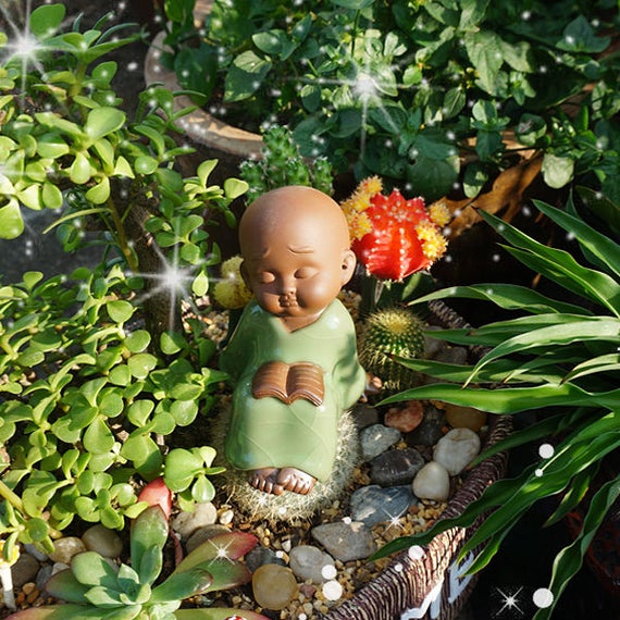 Image result for buddhist monk in garden