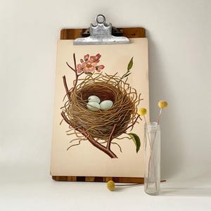 May include: A vintage clipboard with a print of a bird's nest with two blue eggs and a pink flower. The clipboard is made of wood and has a metal clip.