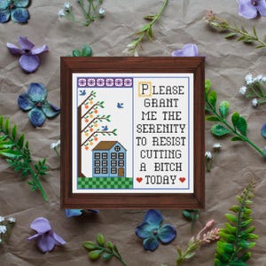 Please Grant Me the Serenity / Subversive Cross Stitch Pattern / Mature Content (PDF Download)