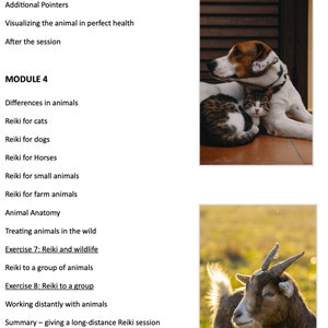 Animal Reiki 101 Course E-book Animal Chakra Guide Printable Chakra Charts Learn to give Reiki to your pet Animal Communication image 6