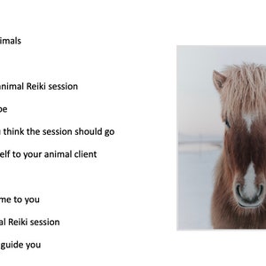 Animal Reiki 101 Course E-book Animal Chakra Guide Printable Chakra Charts Learn to give Reiki to your pet Animal Communication image 4