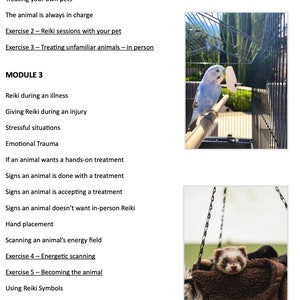 Animal Reiki 101 Course E-book Animal Chakra Guide Printable Chakra Charts Learn to give Reiki to your pet Animal Communication image 5