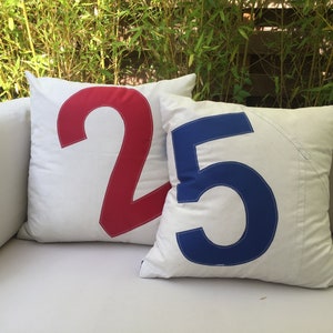 Upcycled Sail Pillow Cover Recycled Sailcloth Outdoor Pillow Case