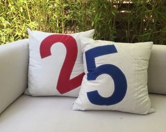 Upcycled Sail Pillow Cover Recycled Sailcloth Outdoor Pillow Case