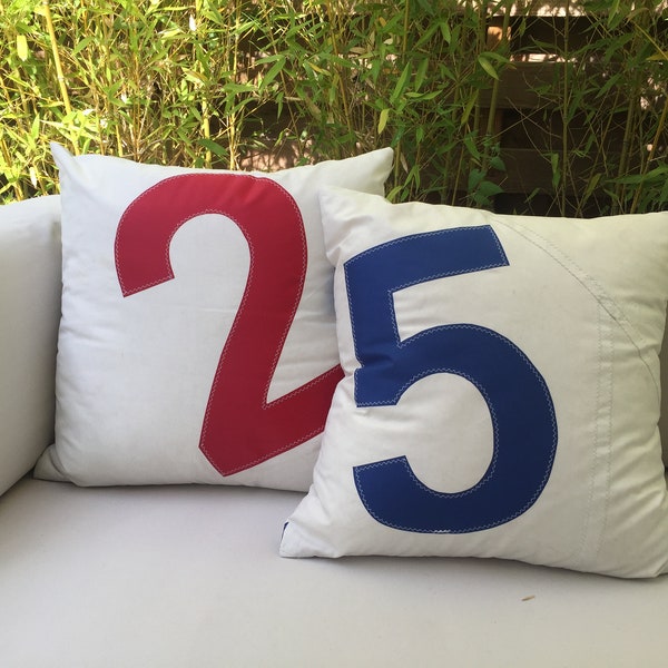 Upcycled Sail Pillow Cover Recycled Sailcloth Outdoor Pillow Case