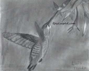 Hummingbird Art Photo Print, 5 x7 Matted Hummingbird Art Print, Graphite Art photo print