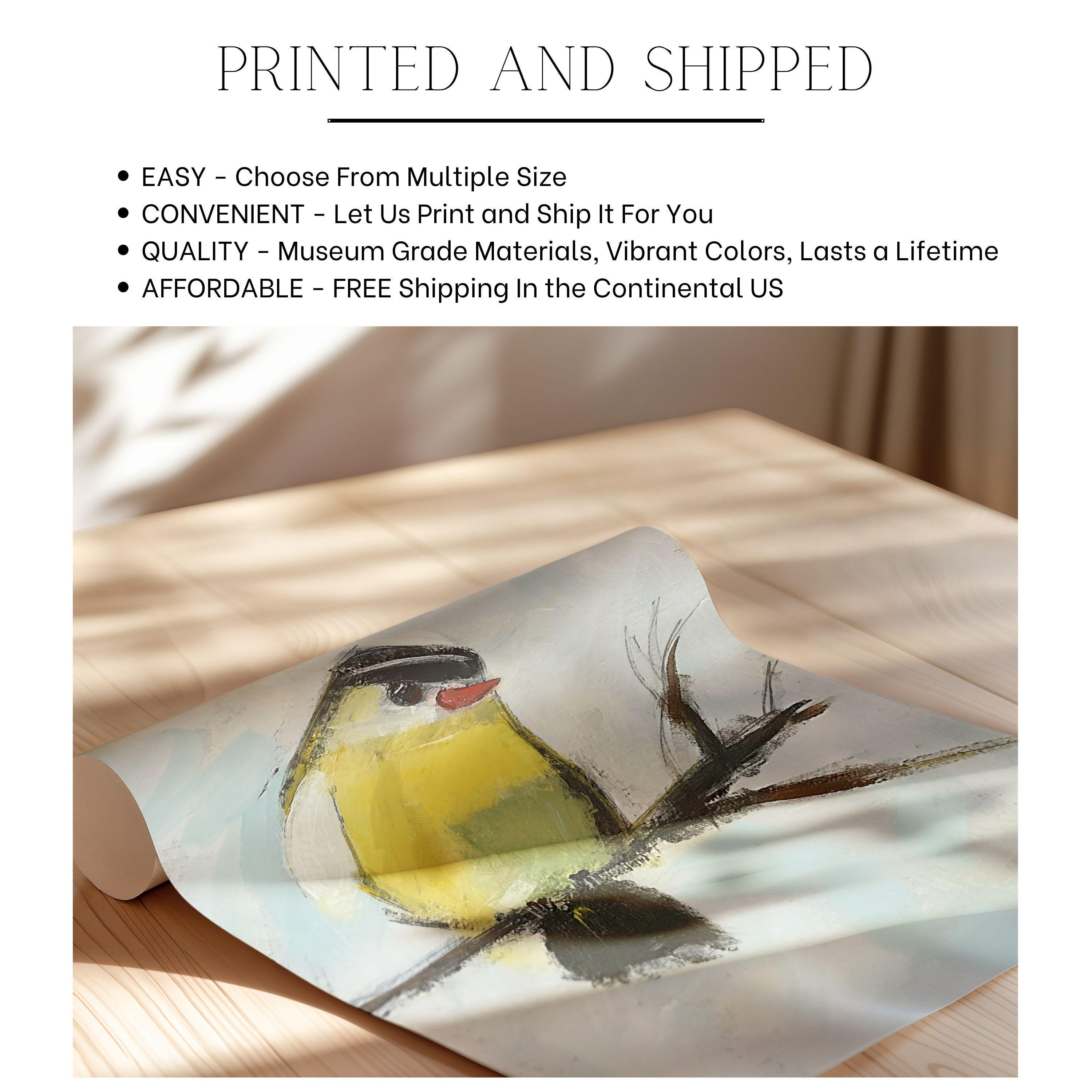 Colorful Bird Print Set, Modern Minimalist Coastal Bird Paintings ...