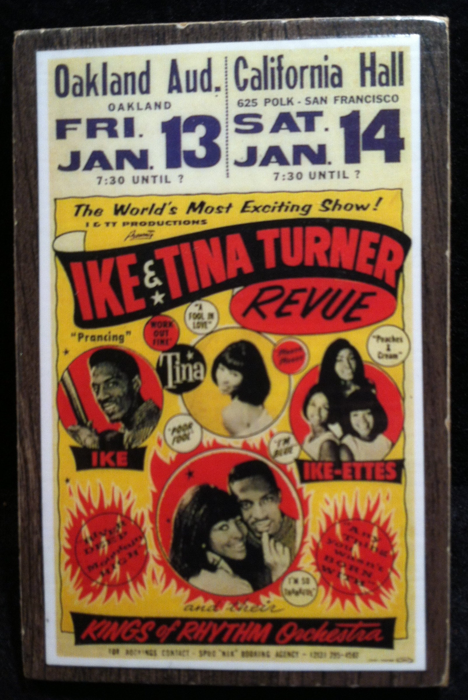 ike tina turner concert