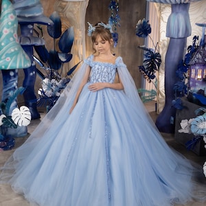 Blumenmädchen Kleid, Blumenmädchen Kleid Tüll, Blumenmädchen Kleid Spitze, Blaues Blumenmädchen Kleid, Erstkommunion Kleid, Junior Brautjungfer Kleid